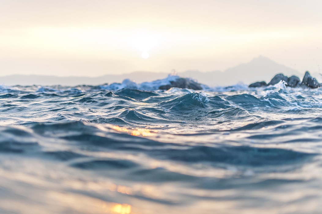 Close-up of gentle ocean waves with sunlight reflecting off the surface. The sky is pale and hazy with the sun low on the horizon. Mountains appear faintly in the background, blending into the soft, misty atmosphere. The overall mood is calm and serene, much like comparing a green lipped mussel vs fish oil for tranquility.