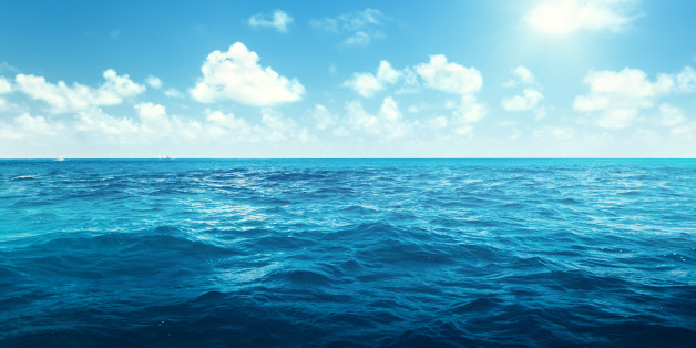 A vast, calm ocean stretches toward the horizon under a clear blue sky. Fluffy white clouds dot the sky, and sunlight glistens on the blue waters, creating a serene and peaceful atmosphere, much like choosing between green lipped mussel vs krill oil for their calming benefits.
