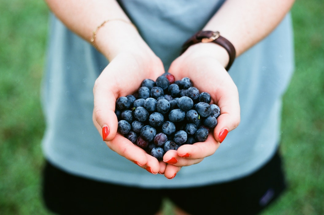 Person with painted nails holds a handful of blueberries, one of the best natural anti-aging foods. They're wearing a light blue shirt and a wristwatch with a brown strap. The background is slightly blurred.