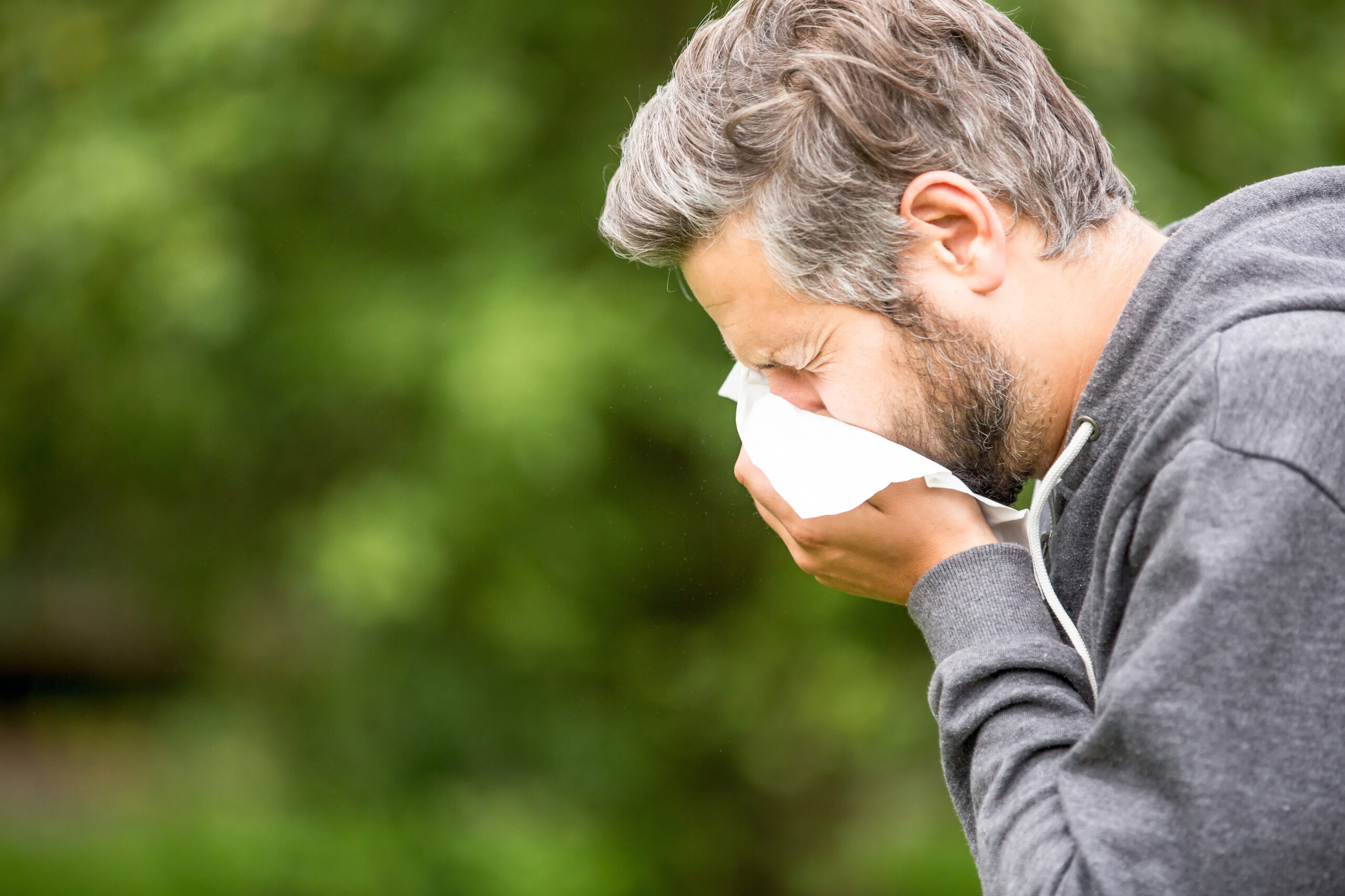A man with gray hair and a beard is sneezing into a tissue outdoors. He is wearing a gray hoodie and the background is blurred green foliage, indicating a natural setting.