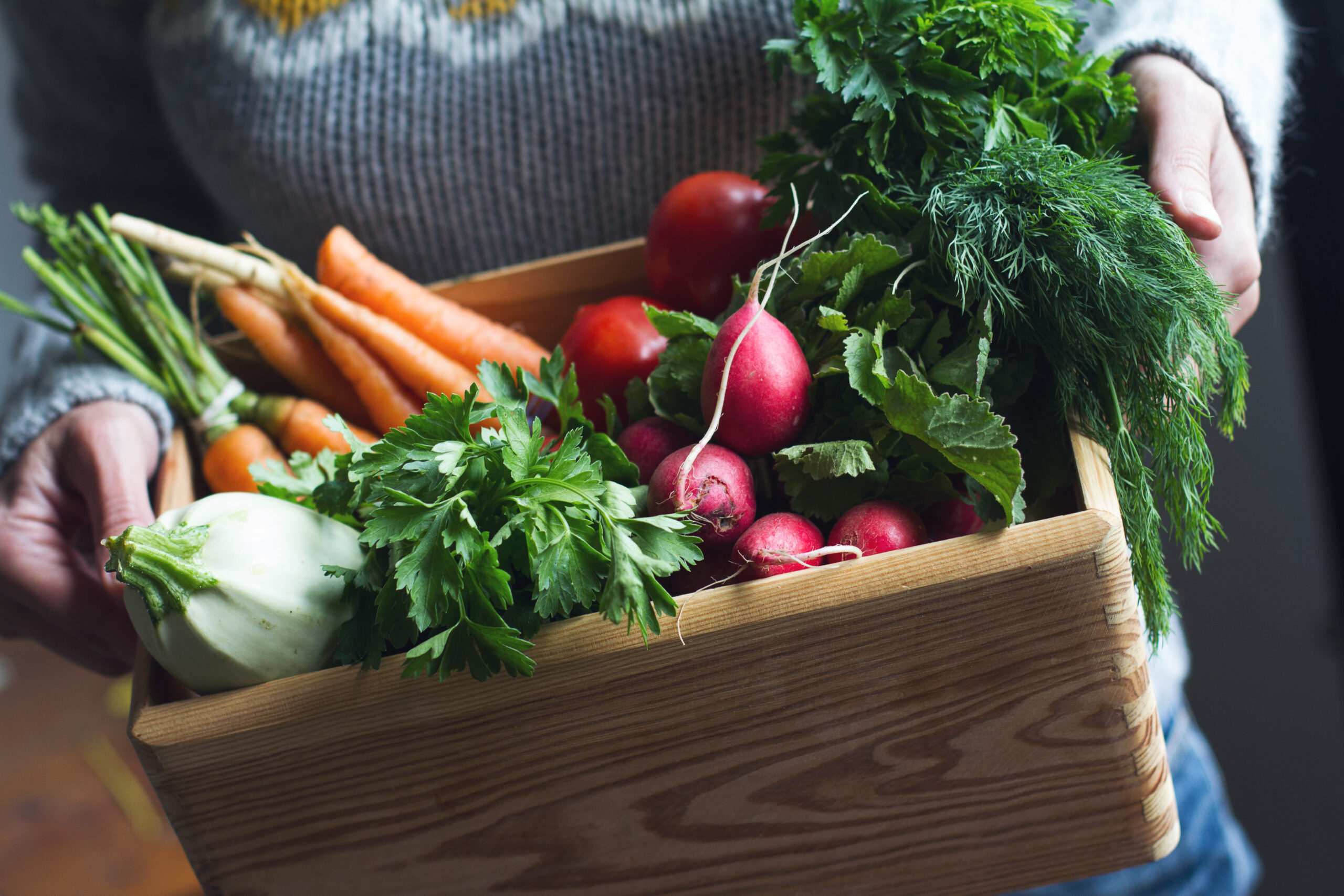 Person holding a wooden crate filled with fresh vegetables, including carrots, radishes, fennel, and leafy greens. The person is wearing a gray sweater with a pattern.