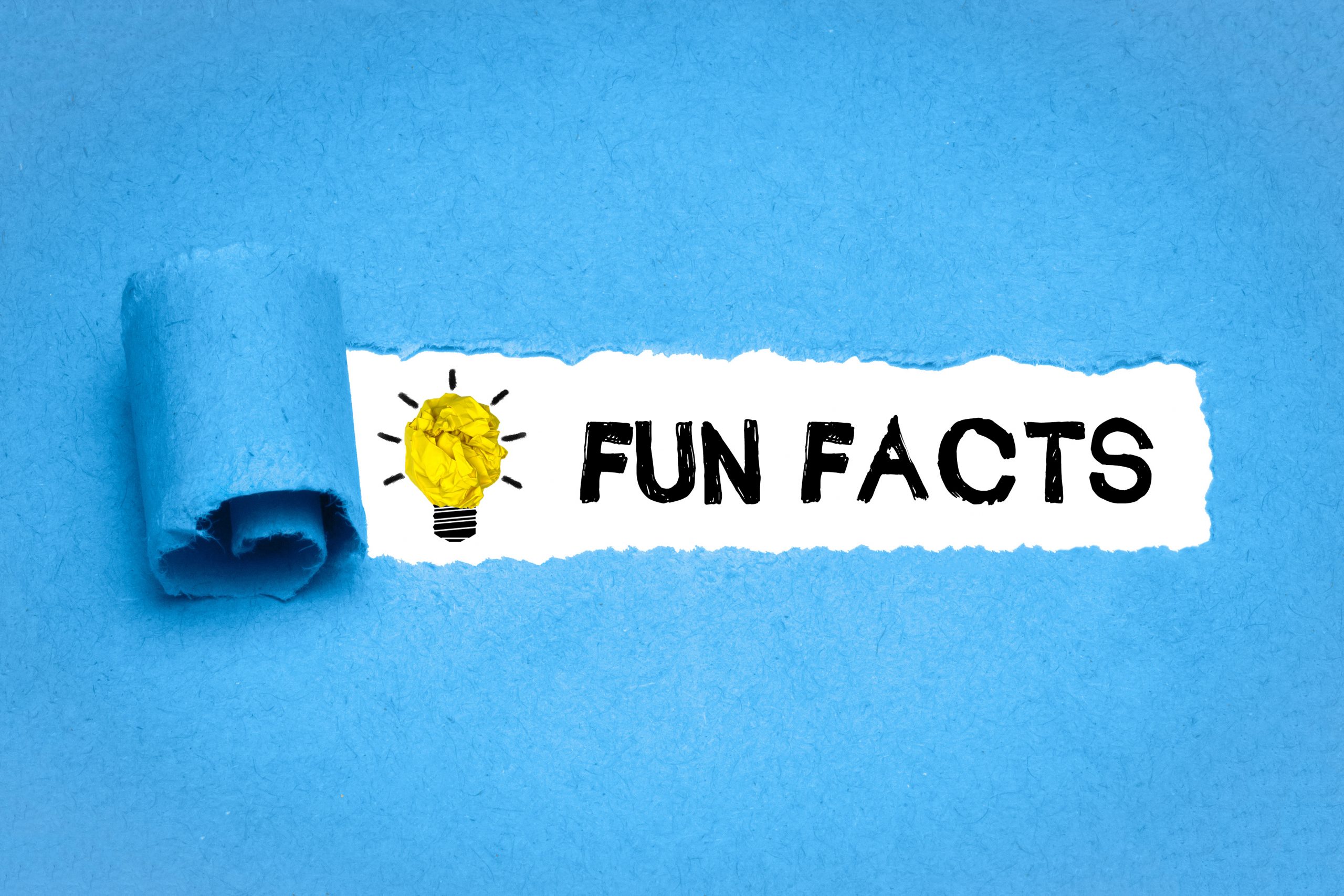A section of blue paper is peeled back to reveal the words "FUN FACTS" in bold black letters on a white background. Next to the text is a yellow lightbulb icon, symbolizing an idea or knowledge.