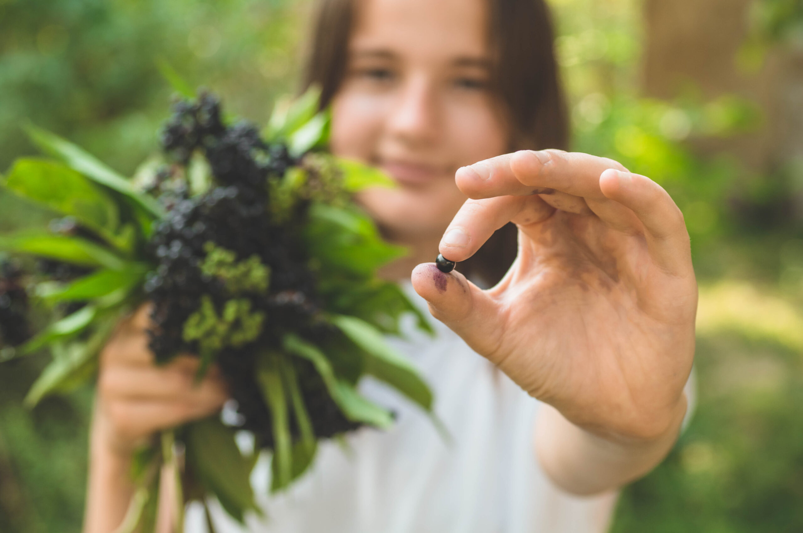 A person with long hair, wearing a white shirt, is holding a small, dark berry close to the camera between their thumb and index finger. They have a bunch of leafy dark berries in their other hand, with a blurred green outdoor background.