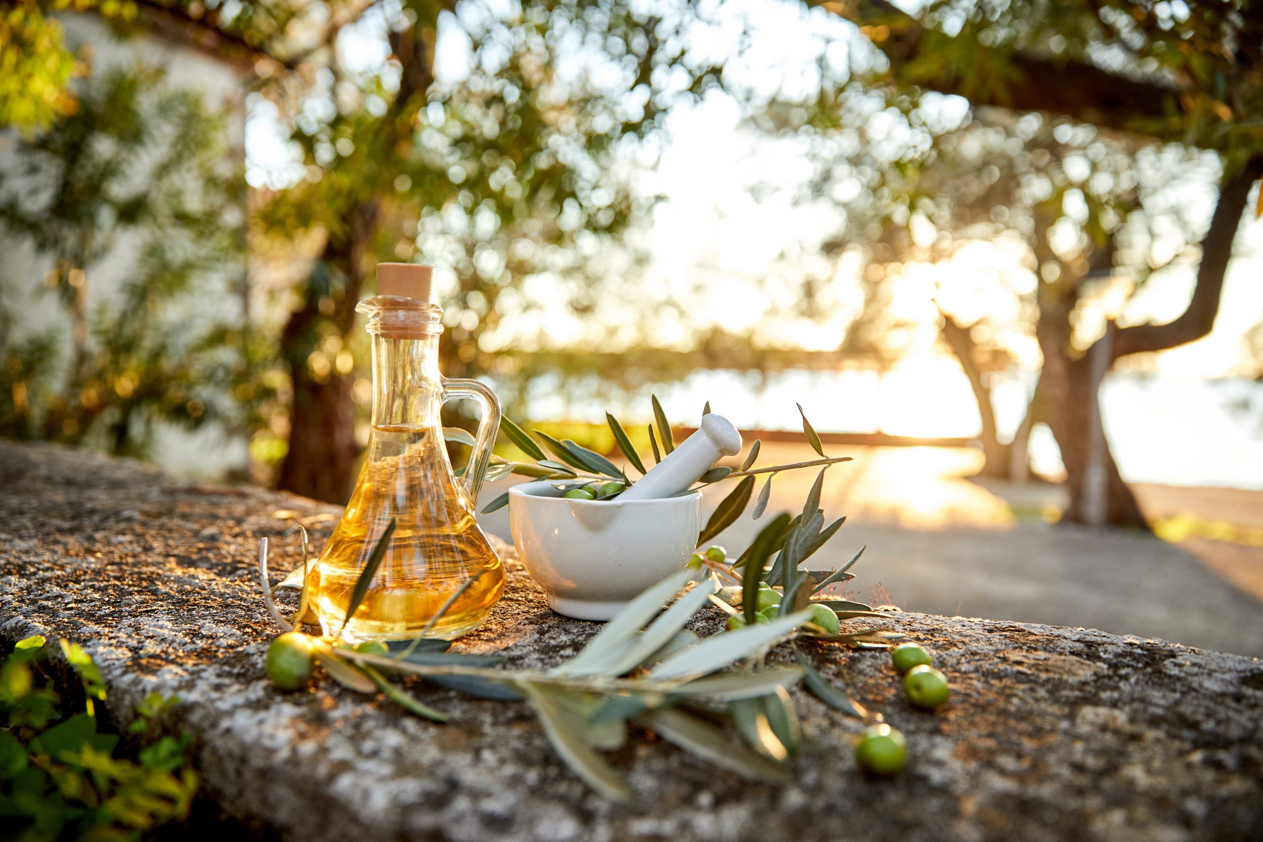 A glass bottle of olive oil and a white mortar and pestle filled with olive branches and leaves sit on a stone surface outside. Fresh olives and olive branches are scattered around. Background shows trees and sunlight filtering through branches.