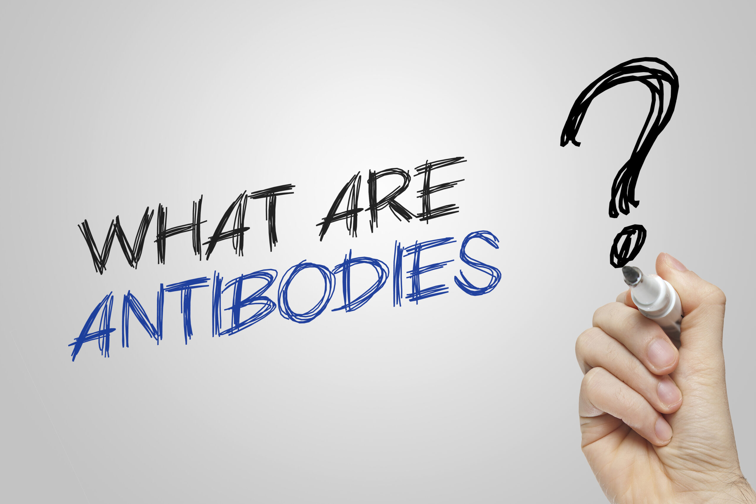 A hand holding a marker writes the text "What are antibodies?" on a whiteboard. The word "antibodies" is written in blue, while the rest of the text and a large question mark are in black.