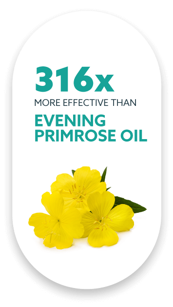 A graphic with a white background featuring bold text stating, "316x more effective than evening primrose oil." Below the text, there is an image of five yellow evening primrose flowers with green leaves. The overall shape of the graphic is an elongated circle.
