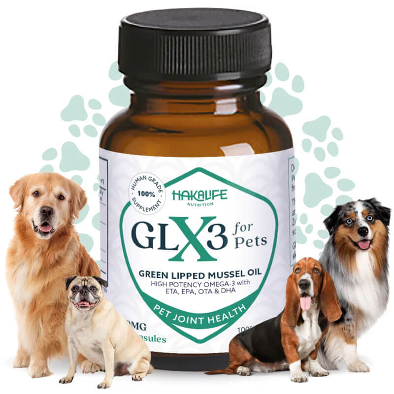 Green Lipped Mussel For Dogs