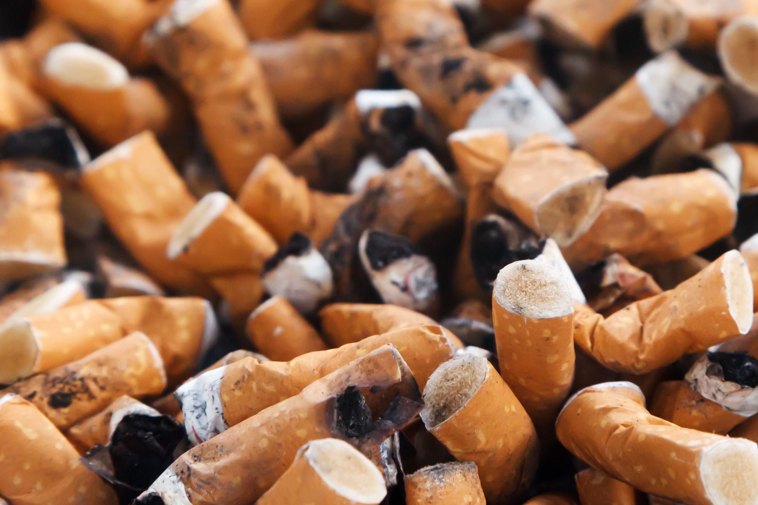 A close-up image of numerous used cigarette butts piled together, showing varying degrees of ash and scorch marks. The orange-brown filters are tightly packed and some are bent, highlighting the accumulation of discarded cigarettes.
