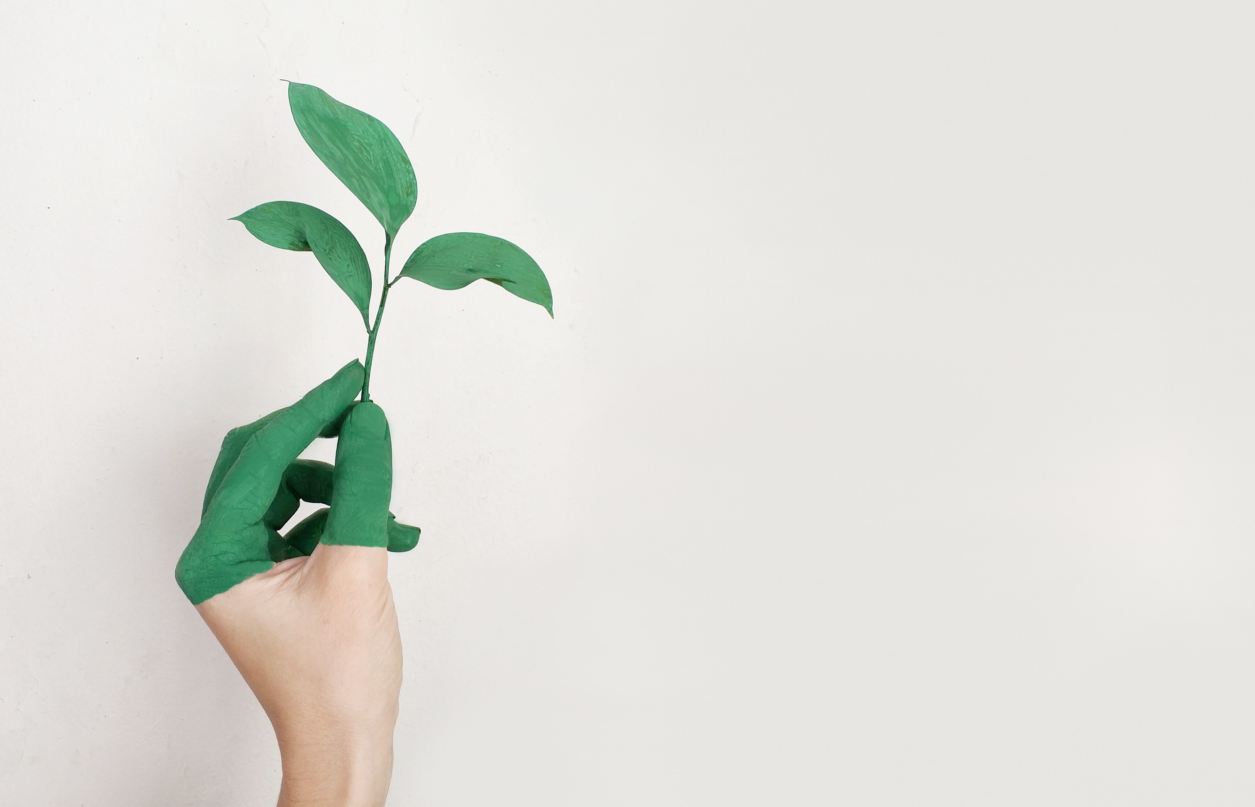 A hand, partially painted green, holds a small, green sprouting plant against a plain white background. The image emphasizes a connection between humans and nature, highlighting themes of growth and environmental awareness.