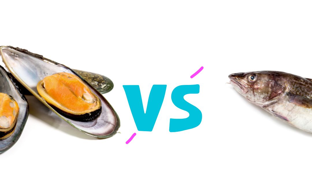 The image shows a comparison between mussels and a fish. On the left, there are two opened mussels with visible orange meat inside their shells. On the right, there is a whole fish facing left. The word "VS" in bold blue letters is in the center.