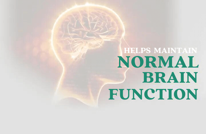 A glowing brain inside a human head silhouette with the text "Helps Maintain Normal Brain Function" written on the right side in green and white letters. The background is a soft gradient of light colors.