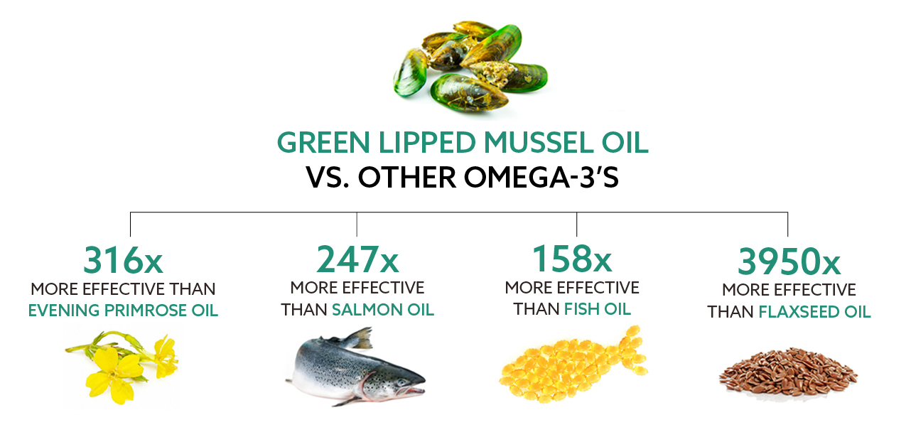 An infographic showing the effectiveness of green-lipped mussel oil compared to other Omega-3 sources. The comparisons are: 316 times more effective than evening primrose oil, 247 times more effective than salmon oil, 158 times more effective than fish oil, and 3950 times more effective than flaxseed oil.