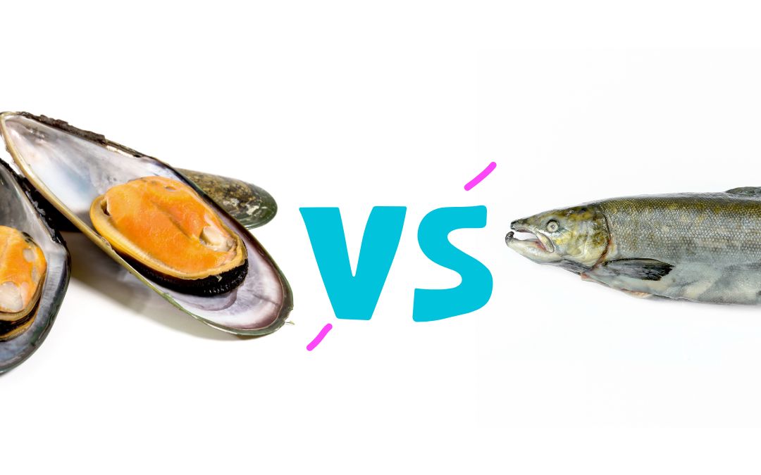 A side-by-side comparison image featuring two green-lipped mussels on the left and a whole fish on the right, with a large "VS" in blue text between them, suggesting a comparison or competition.