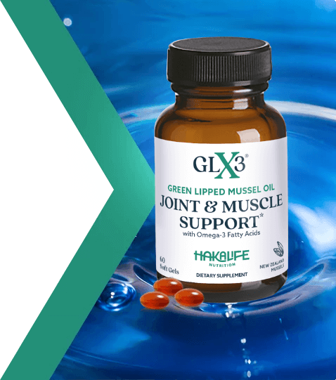 A bottle of GLX3 Green Lipped Mussel Oil Joint & Muscle Support sits against a blue background. The amber bottle with a black cap is accompanied by a few red soft gel capsules. The label reveals it contains Omega-3 fatty acids and mussel oil, making it an excellent dietary supplement.