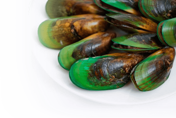 A close-up of a plate of green-lipped mussels. The mussel shells are dark brown with vibrant green edges and are arranged in a fanned-out pattern on a white dish.